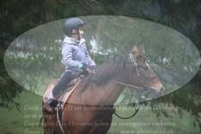 ref. photo 3354350