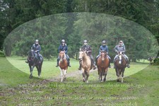 ref. photo 3354354