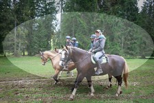 ref. photo 3354369