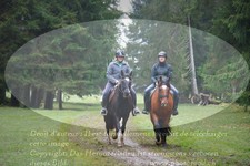 ref. photo 3354382