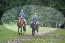 ref. photo 3354451