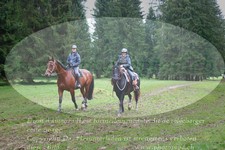 ref. photo 3354457
