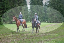ref. photo 3354458