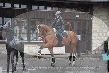 ref. photo 3354516