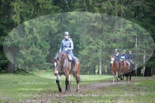 ref. photo 3354591
