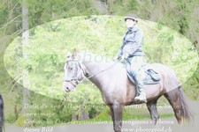 ref. photo 3354613
