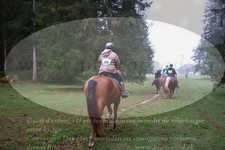 ref. photo 3354654