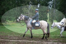 ref. photo 3354680