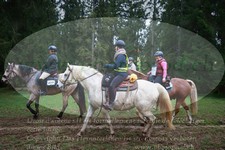 ref. photo 3354681
