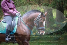 ref. photo 3354693
