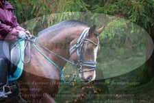 ref. photo 3354694