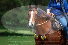 ref. photo 3354715