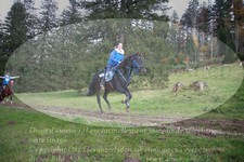 ref. photo 3354761
