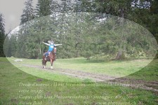 ref. photo 3354762