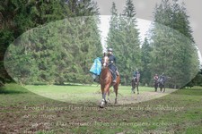 ref. photo 3354800