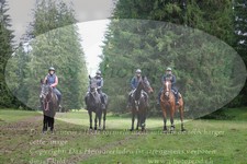 ref. photo 3354811