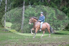 ref. photo 3354850