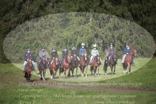 ref. photo 3354881