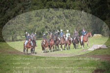 ref. photo 3354884