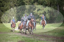 ref. photo 3354885