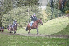 ref. photo 3354888