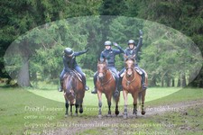 ref. photo 3354906
