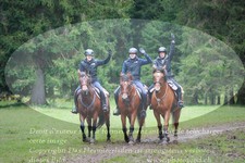 ref. photo 3354907