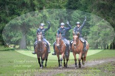 ref. photo 3354908