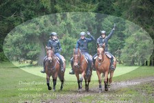 ref. photo 3354909