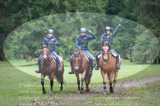 ref. photo 3354911