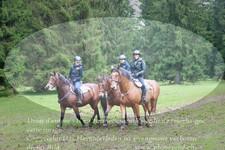 ref. photo 3354915
