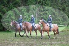 ref. photo 3354918