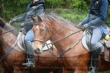 ref. photo 3354919
