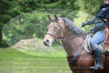 ref. photo 3354921