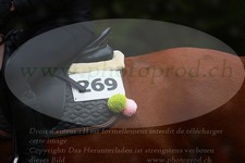 ref. photo 3354923