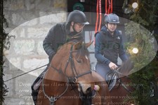 ref. photo 3354924