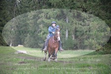 ref. photo 3354965