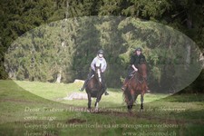 ref. photo 3355015
