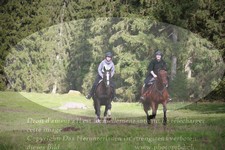 ref. photo 3355016