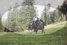 ref. photo 3355020