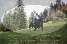 ref. photo 3355021