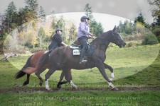 ref. photo 3355022