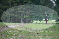 ref. photo 3355028