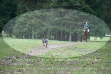 ref. photo 3355029