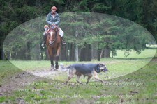 ref. photo 3355033