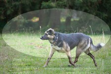 ref. photo 3355037