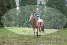 ref. photo 3355039