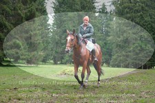 ref. photo 3355040