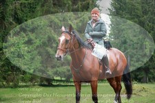 ref. photo 3355041