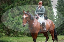 ref. photo 3355042